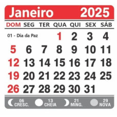 Mini Calendário 2025 Para Imã Geladeira 100 unidades Destacados